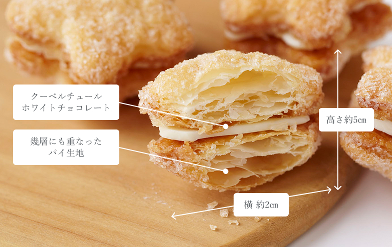 スターライトパレードの詳細